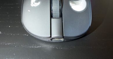 Fazit zur NYFTER NYF-25 Sakura Edition: Eine erstaunlich klare Maus mit sehr klarer Idee